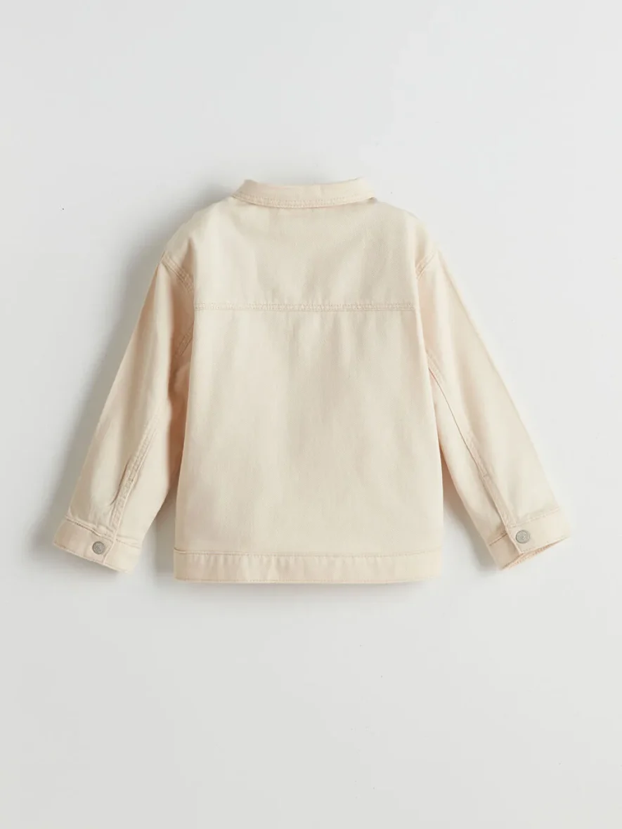 l_20251-s53887z1-f0b_a1